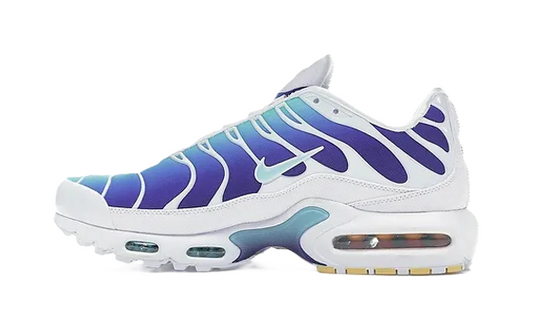 NIKE Air Max Plus TN SE BLEACHED AQUA