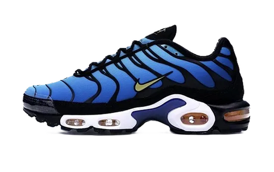 NIKE Air Max Plus ULTRA HYPER BLEU